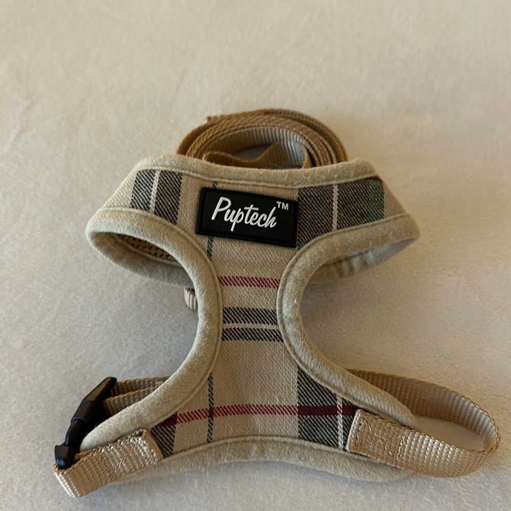 Harness and leash